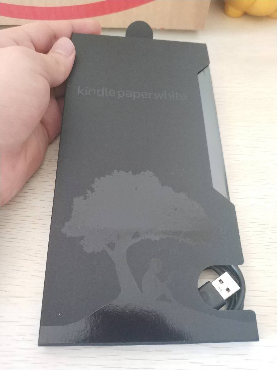 kindle4
